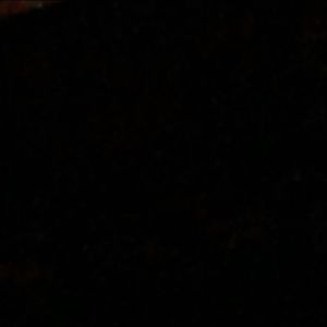 Meet your Posher, Dylan